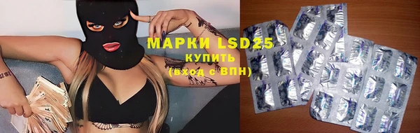 a pvp Бородино