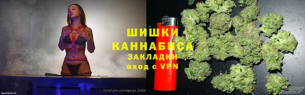 a pvp Бородино