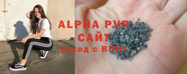 стаф Анива