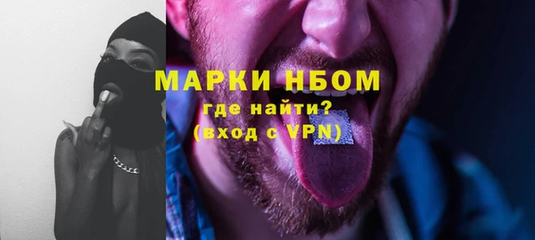 a pvp Бородино