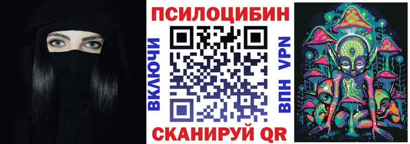 площадка клад  Вилючинск  Псилоцибиновые грибы Cubensis 
